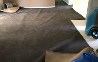 Emergency carpet cleaning service in Melbourne available 24/7 for fast stain and water damage removal by SteamFresh Carpet Cleaners Melbourne