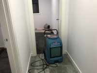 Carpet Restoration