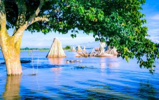 Professional team performing high-quality cleaning services for Melbourne homes and businesses.