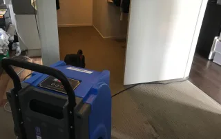 Professional upholstery cleaning service restoring a sofa’s freshness and removing deep stains in Melbourne by Steam Fresh Carpet Cleaning.