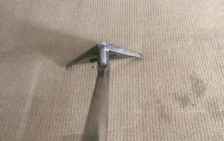 Trusted Carpet Cleaning Melbourne and Wet Carpet Cleaning by Steam Fresh Carpet Cleaning delivering professional and eco-friendly carpet cleaning services.