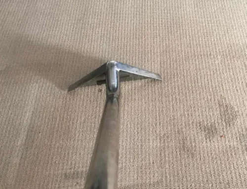 Why Eco-Friendly Carpet Cleaning Is Better for Your Home