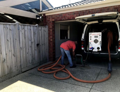 How Often Should You Clean Your Carpets? Expert Advice