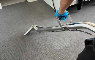 Professional steam cleaning and wet carpet cleaning Clayton VIC by Steam Fresh Carpet Cleaning removing deep dirt, stains, and moisture