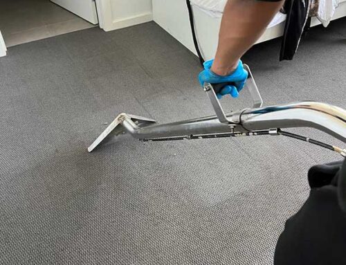 Top Signs Your Carpet Needs Professional Steam Cleaning