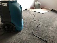 Carpet Restoration