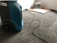 Carpet Restoration