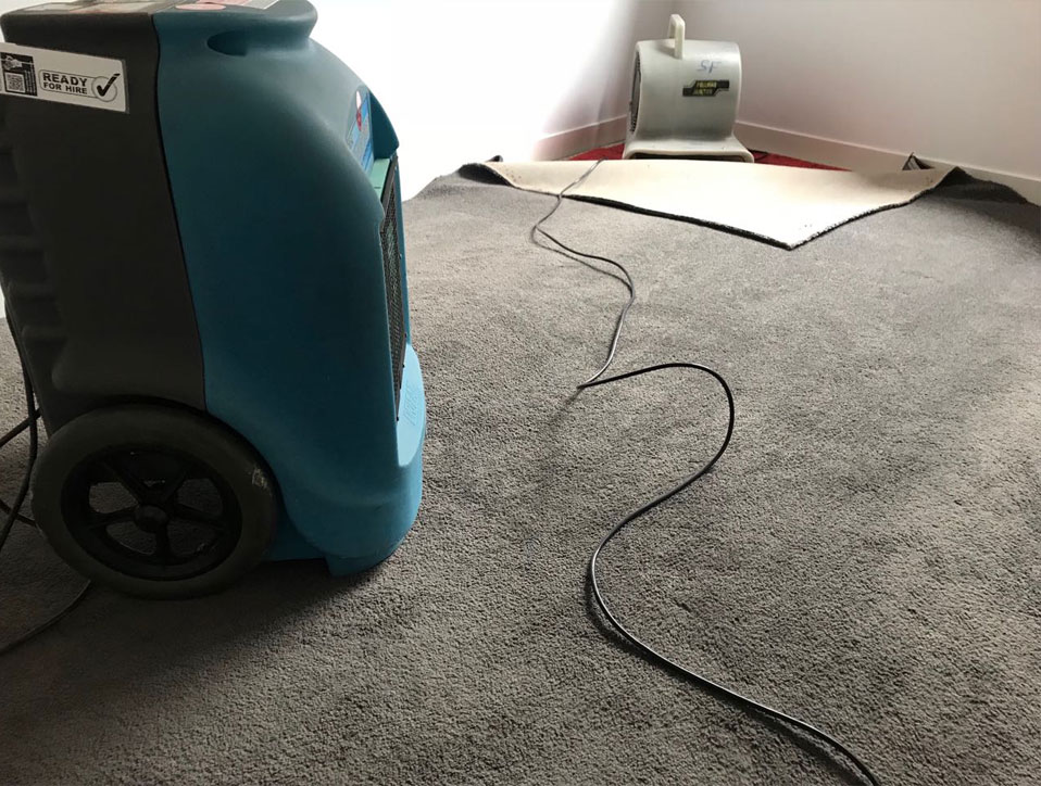 Carpet Restoration