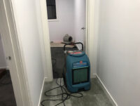 Carpet Restoration