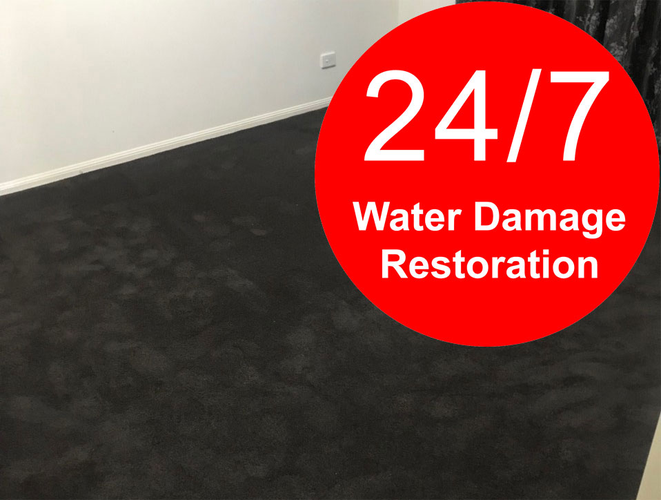 Professional Carpet Cleaning