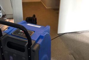 Regular Carpet Cleaning services by Steam Fresh Carpet Cleaning to extend carpet life and maintain hygiene.